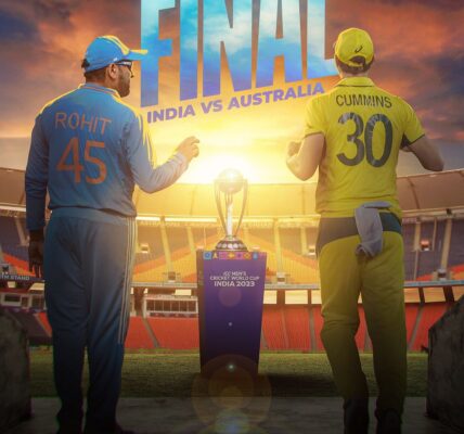 Ind vs aus CWC 2023 final