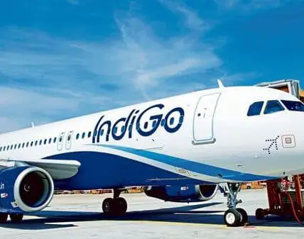 Indigo